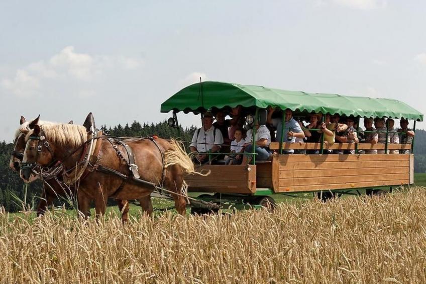 in Röhrnbach mit Grill und Terrasse - foto 26