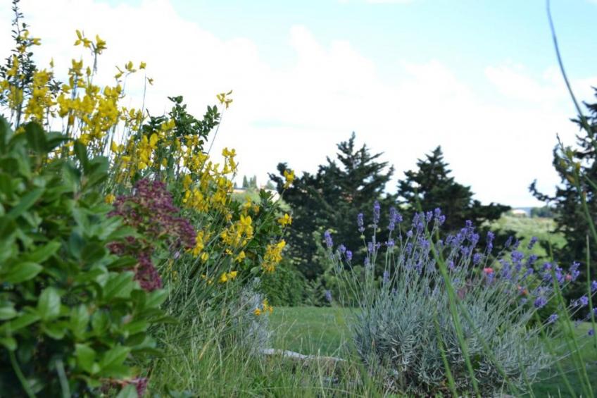 Country Resort Il Frassine - foto 39