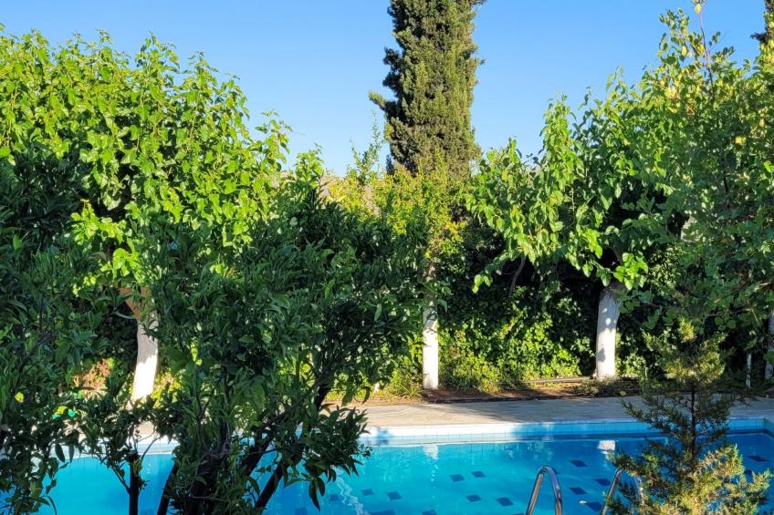 Villa Sofia - foto 24