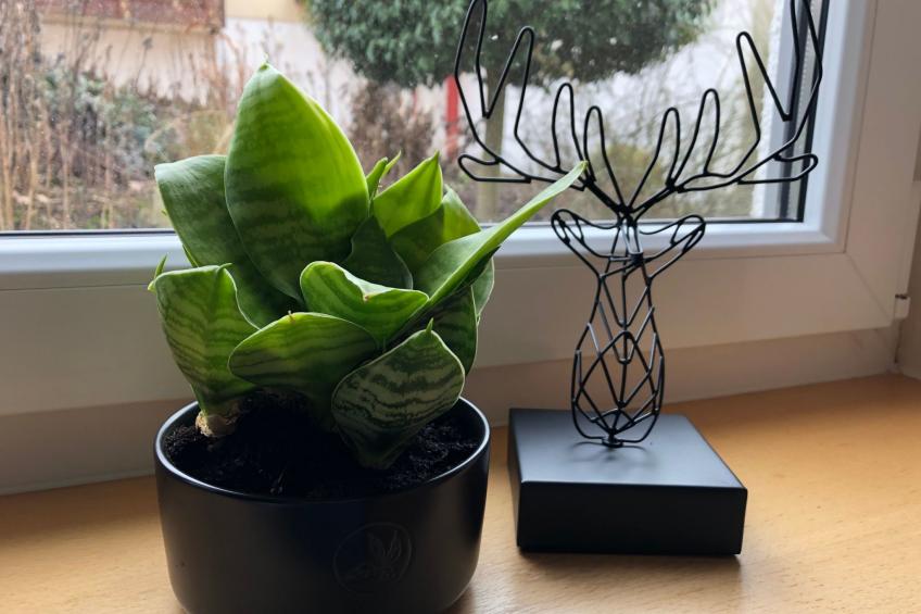 FeWo 5 Jahreszeiten - foto 23