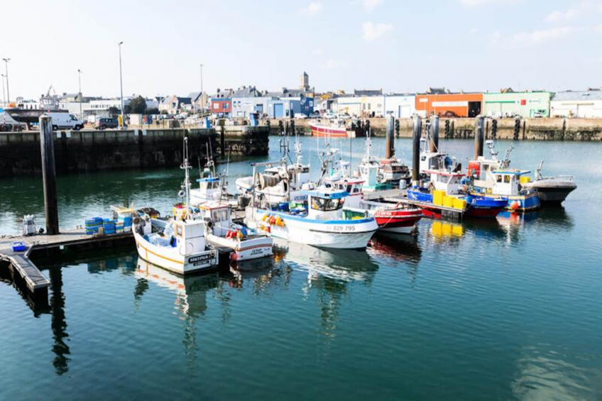 Maison à Treffiagat-Léchiagat - foto 29