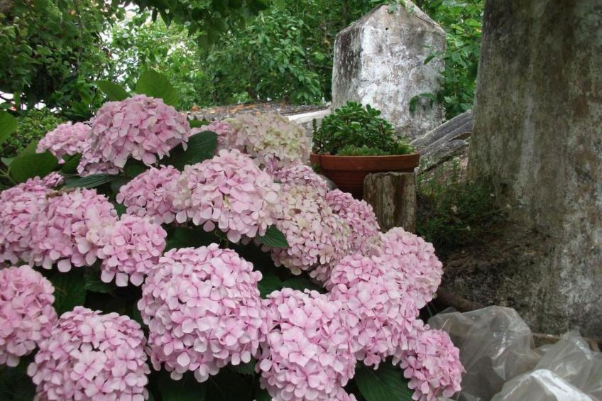 Historisches Haus in der Nähe des historischen Dorfes von Óbidos - foto 34