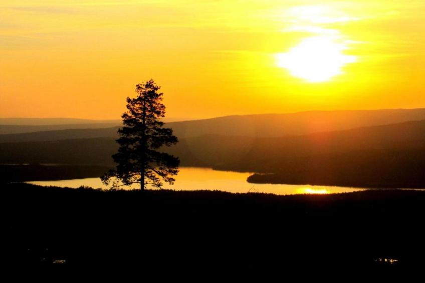 Letafors Herrgård - foto 25