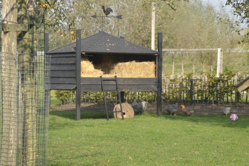 Landelijk Utrecht - foto 33