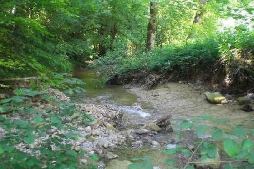 Das Blaue Haus in Hohenweiler - foto 8