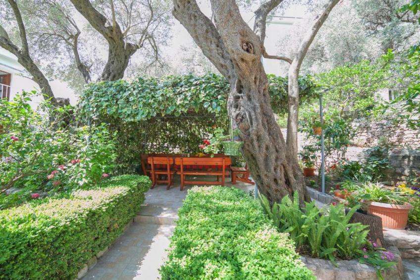 Petrovac Serenity Stay Near the Beach - Standard Double Room 2 - foto 15