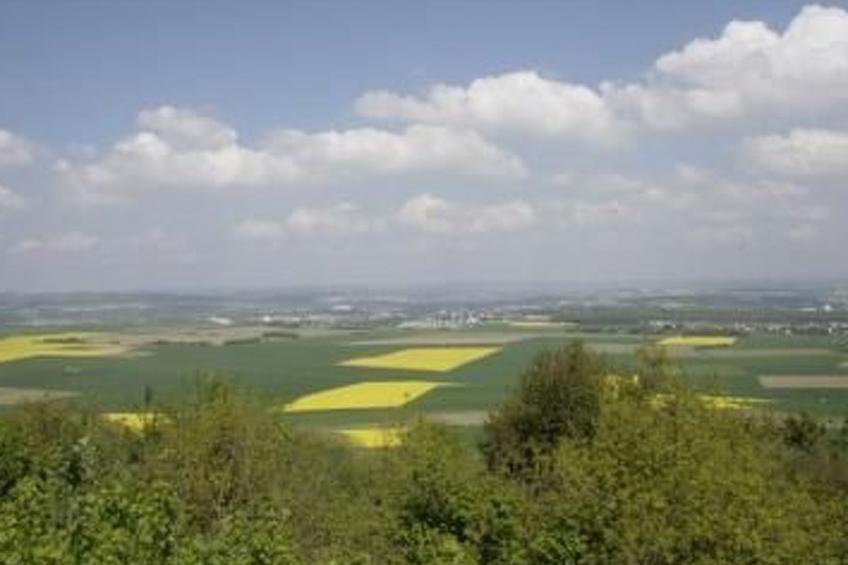 Zum Mensfelder Kopf - foto 34
