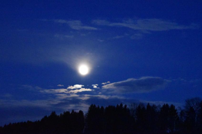 "Haus in der Einöde" - foto 43