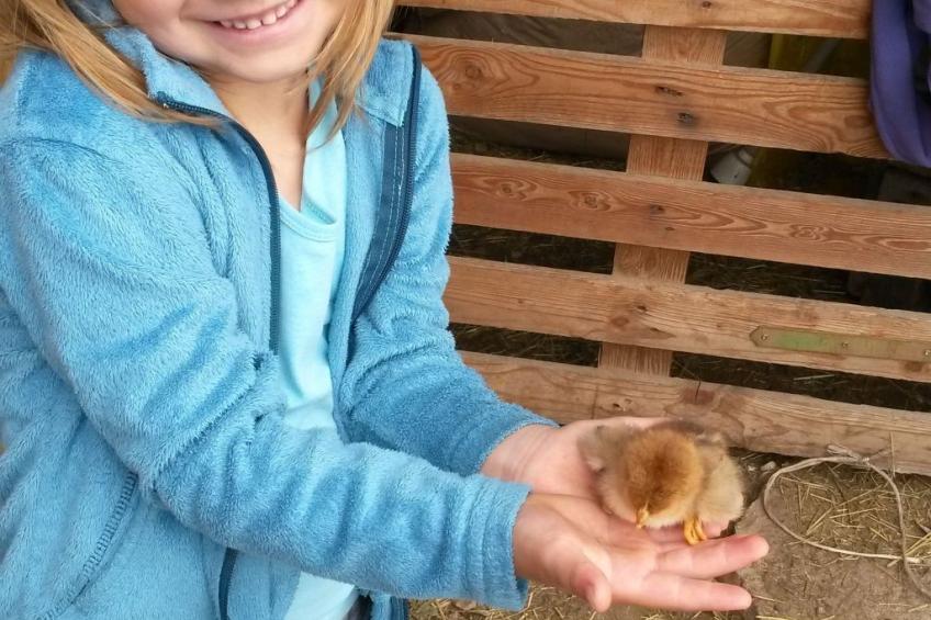 Kerschbamerhof Fewo Pink Lady mit Panoramablick - foto 17