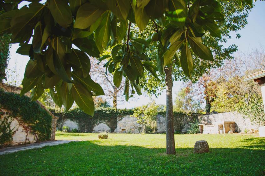 Renovierte Ferienwohnung in Karlovići mit Terrasse, Grill und gemeinsamem Pool - foto 39