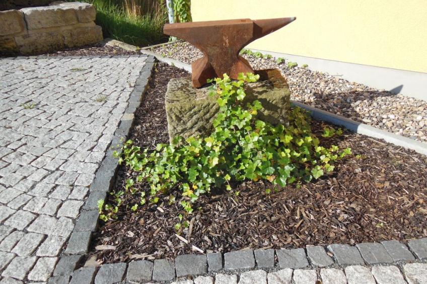 273428 - foto 6
