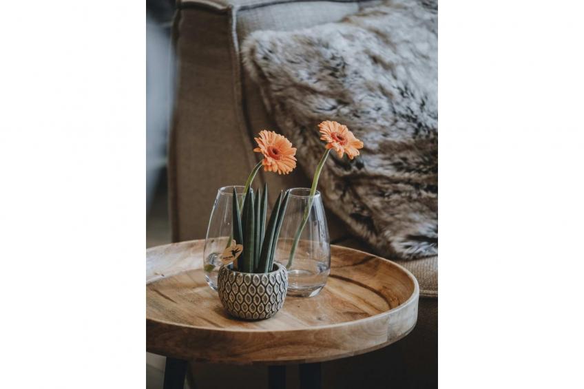 Le Paradis d'Henri - foto 12