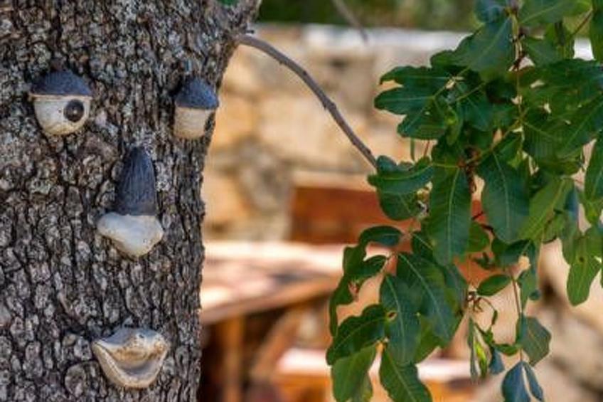 Hütte mit Garten, Grill und Terrasse - foto 41