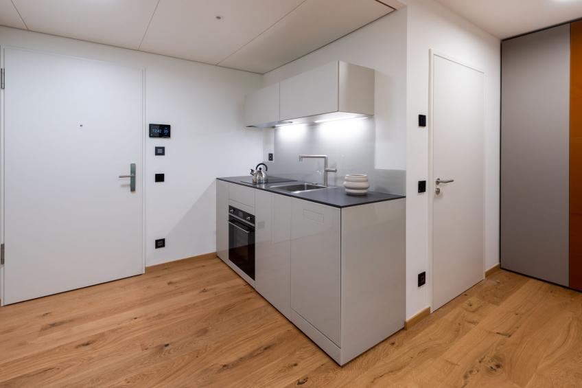 Lo Scudo di Stabio 1 Zi.Studio Süd. - foto 8