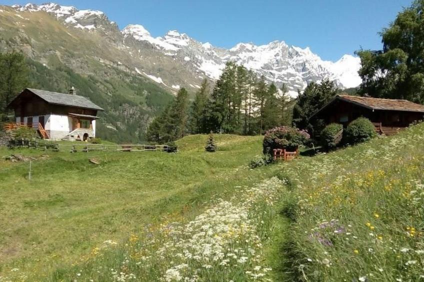 'Lo Chalet' der Balkon über dem Matterhorntal - foto 33