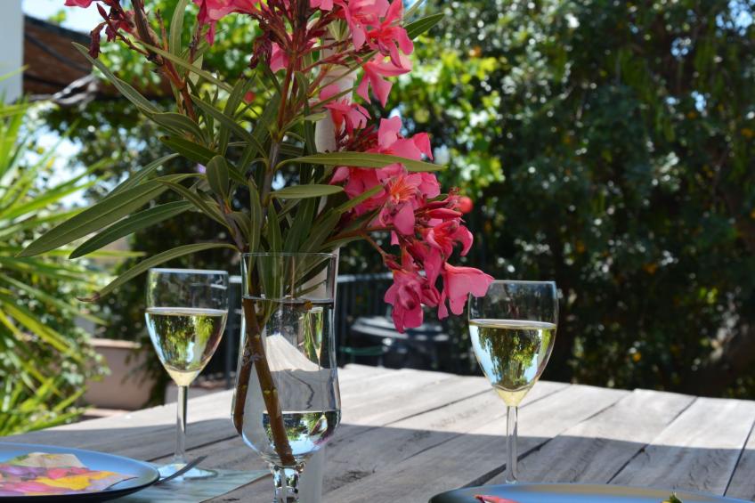 Finca "La Estrella de Cómpeta". - foto 35