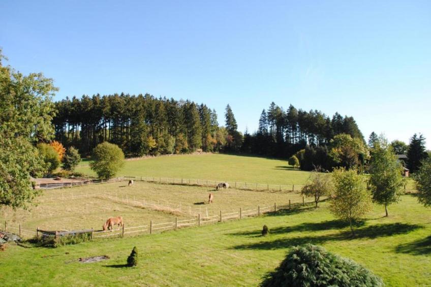 Haus Finger - foto 32