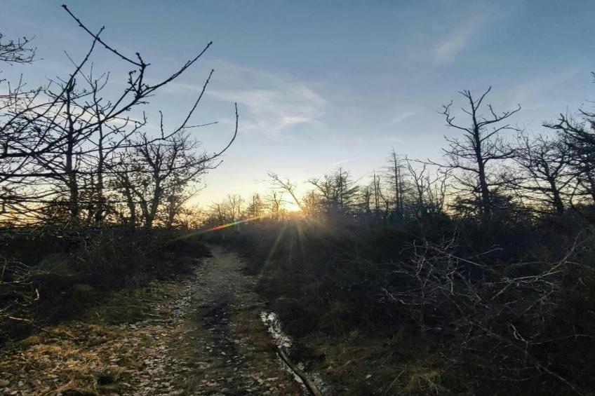 Le Bonheur - foto 36