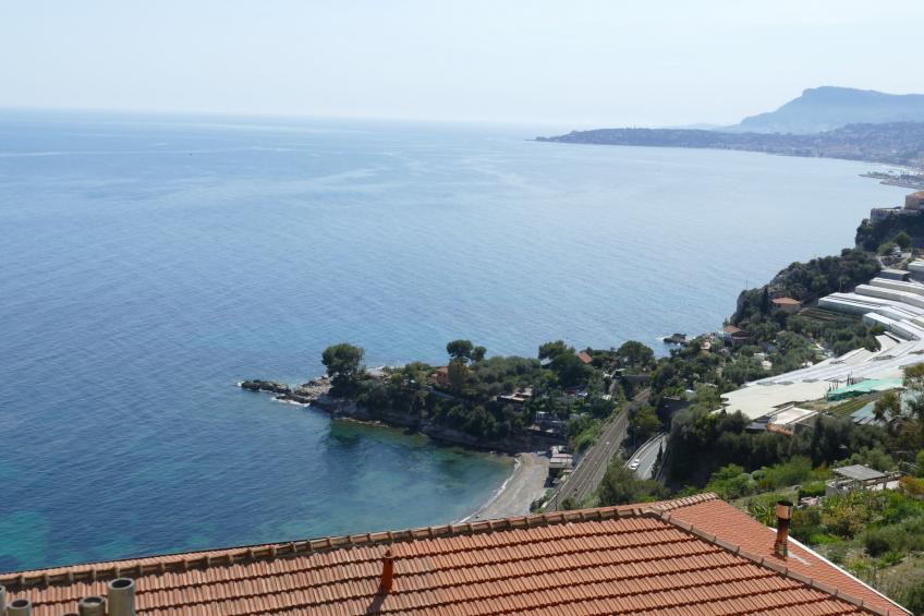 Grimaldi - foto 19