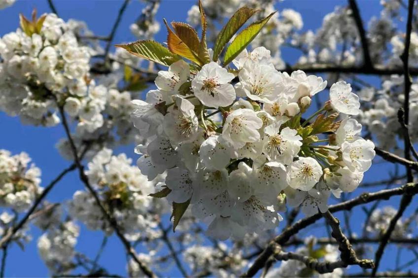 Waterpark Langelille 4 - foto 25