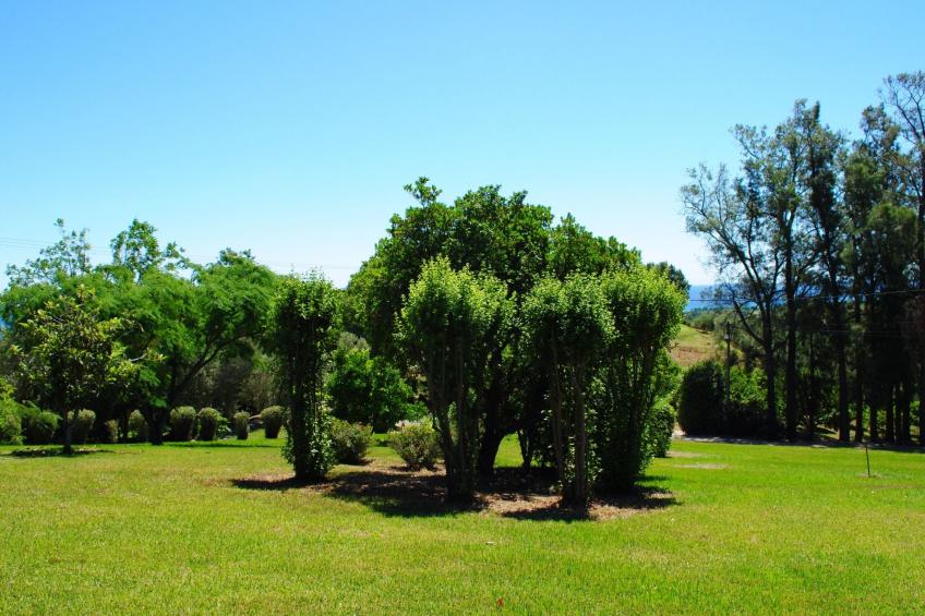 Weingut Punta della Guardia Panorama von Macchia und Meer - foto 24