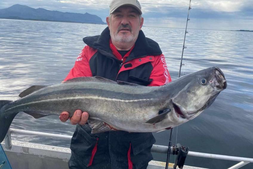 Stabben Blue House - foto 36