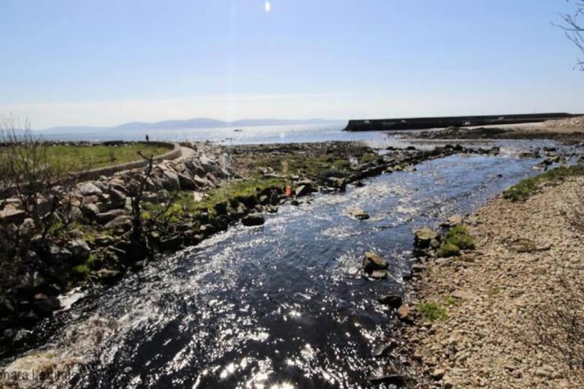 Mobil Home - Bungalow - Cottage à Spiddal Galway - foto 32