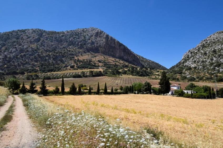 Cortijo Los Alazores - foto 21