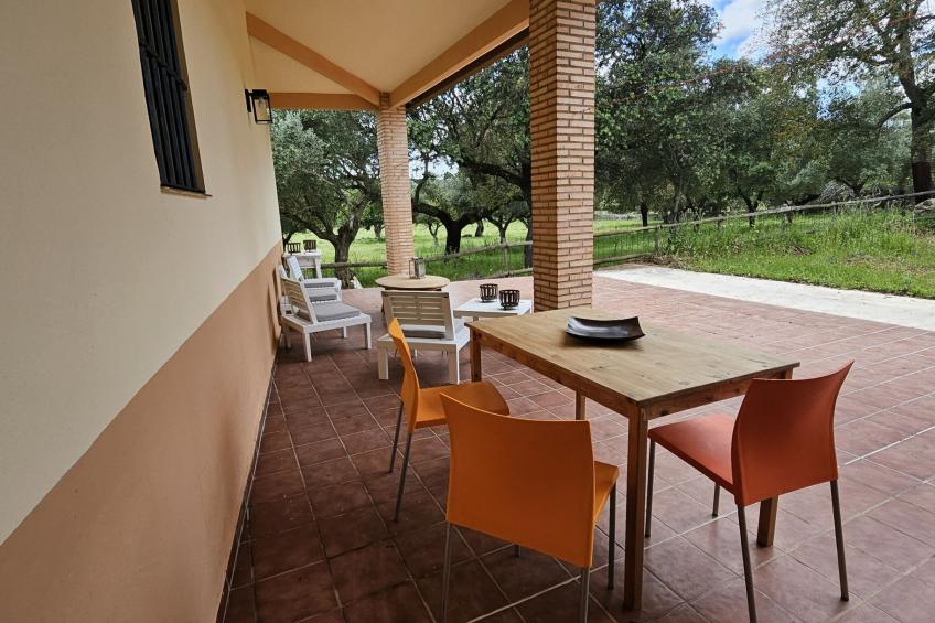 FINCA EL ALAMO - BARCARROTA - foto 35
