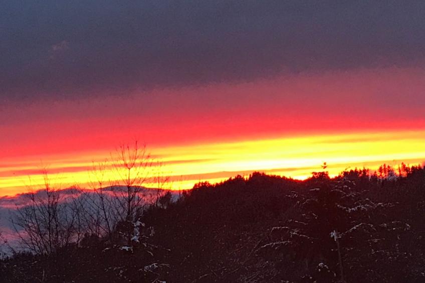 Haus Sabine - foto 32