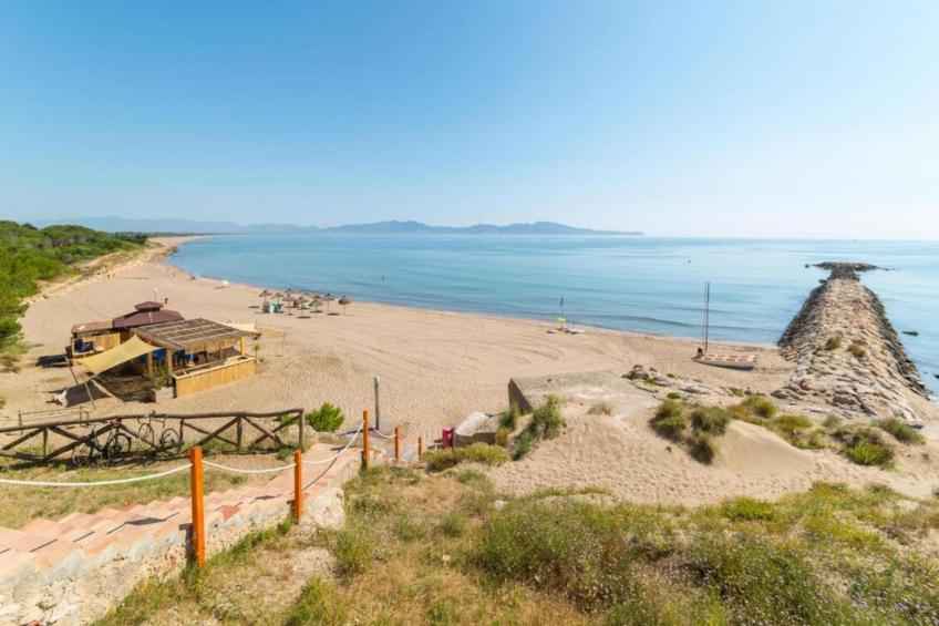 COSSIS 61B - foto 32