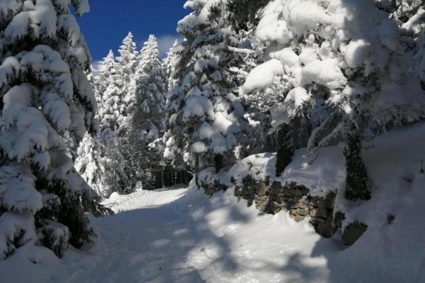 Le Domaine des Rois - foto 33