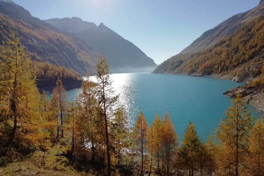 Helle, panoramische Wohnung in den Alpen. - foto 22