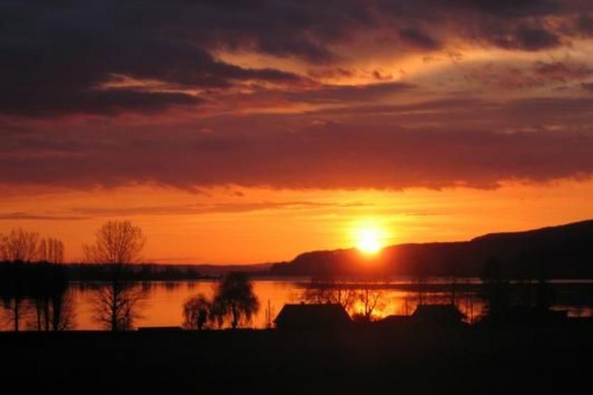 zum Frohsinn - foto 3