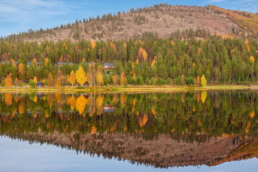 Sallanhelmi c2 - foto 4