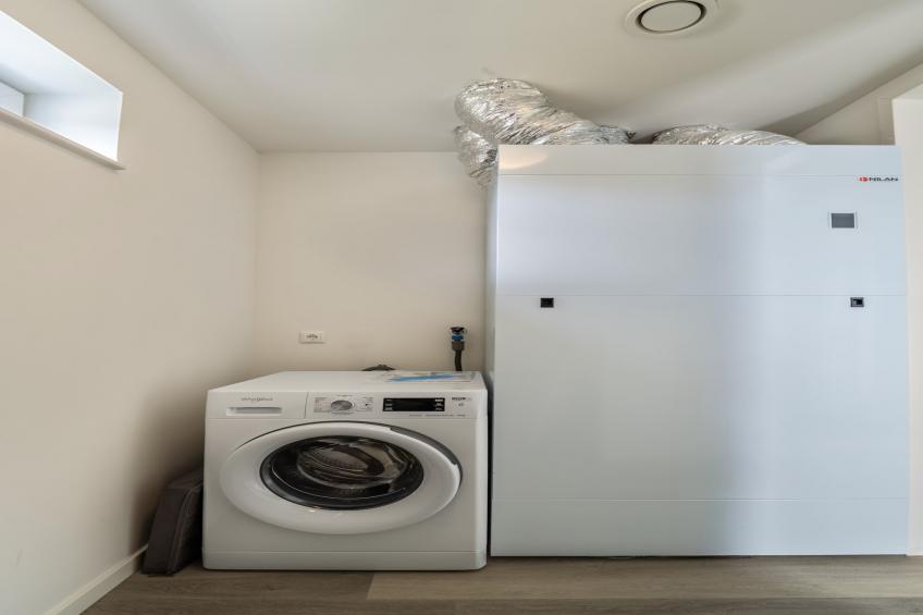 Kuifduiker 115 - foto 36