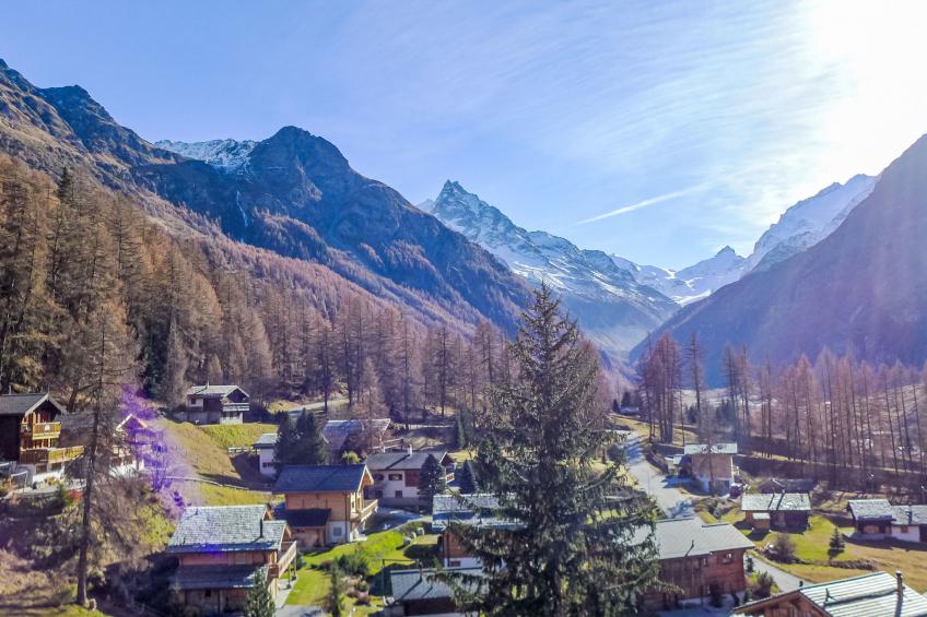 Les Erables - foto 15