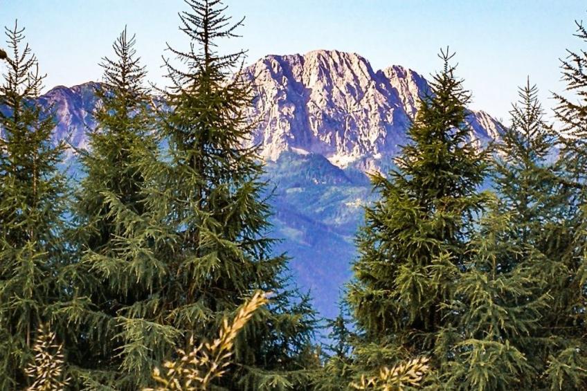 Almhütte Enzian - foto 33