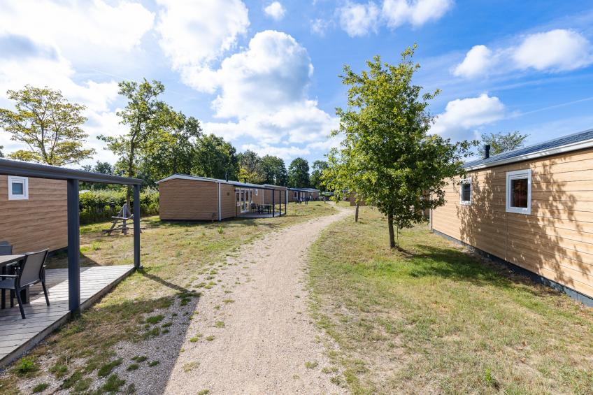 Chalet - Camping de Duinhoeve 'Bosdier' - foto 73