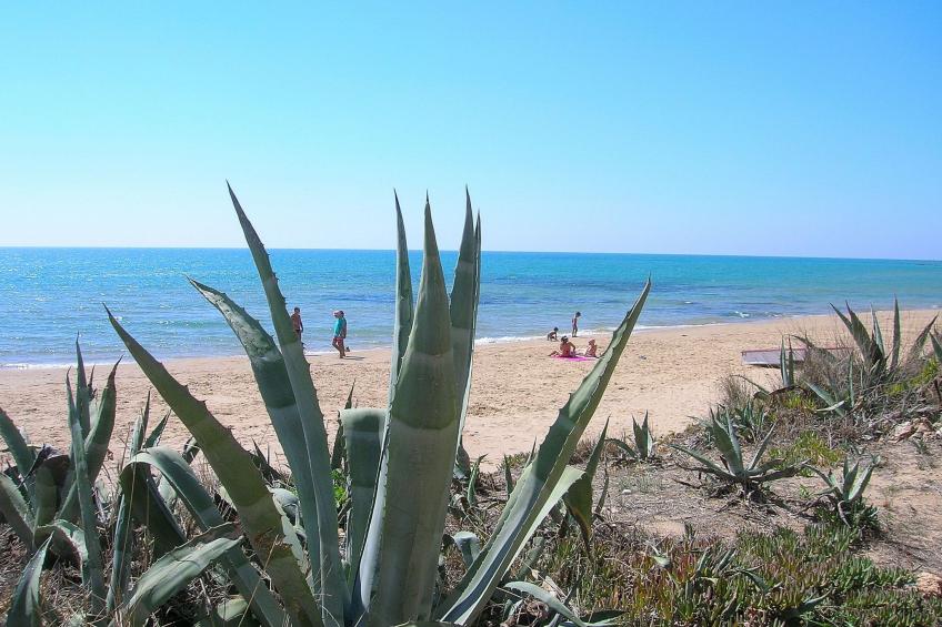 Wohnung Terra - foto 26