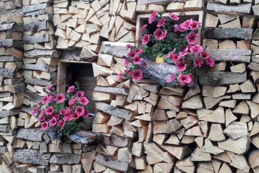 Alpe Monte Massella - foto 49