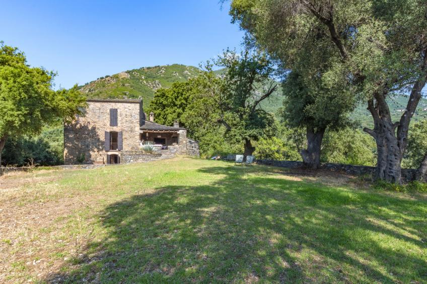 Formicaccia - foto 40