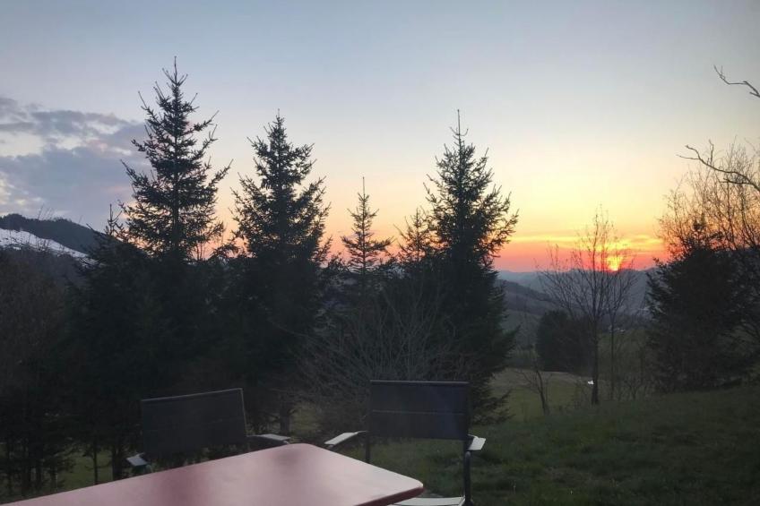 Soldanella - foto 21