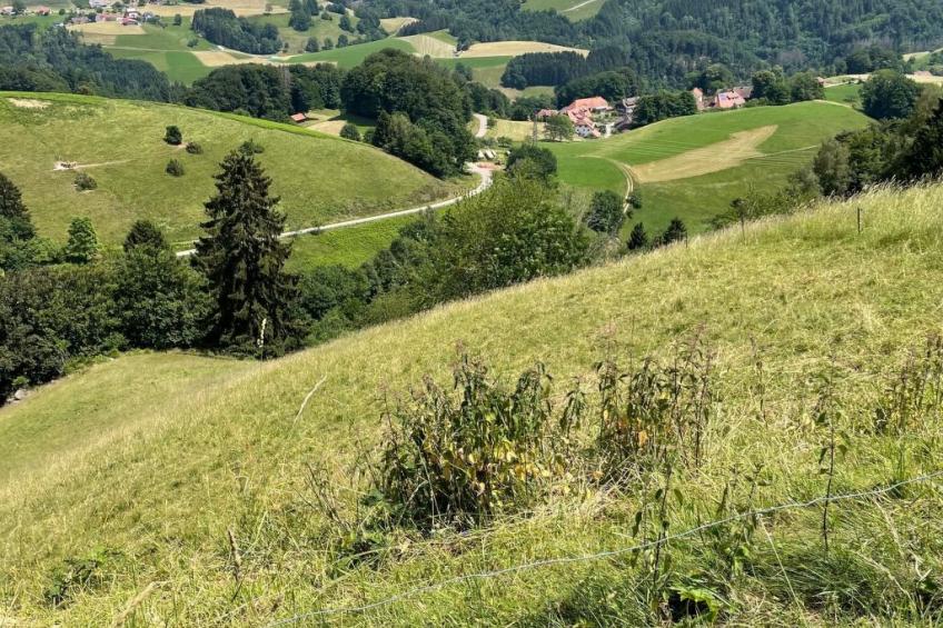 Haus Sonnenschein - foto 33