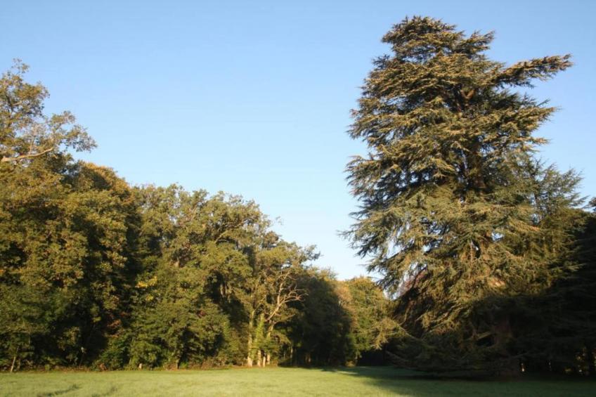 Gite de caractère - foto 35