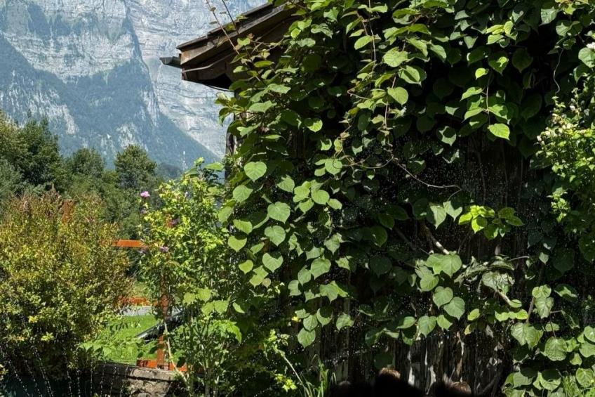 Historisches Anwesen - zeitloser Charme und moderner Luxus - foto 33