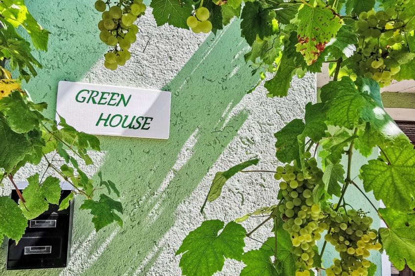 Green House - foto 20