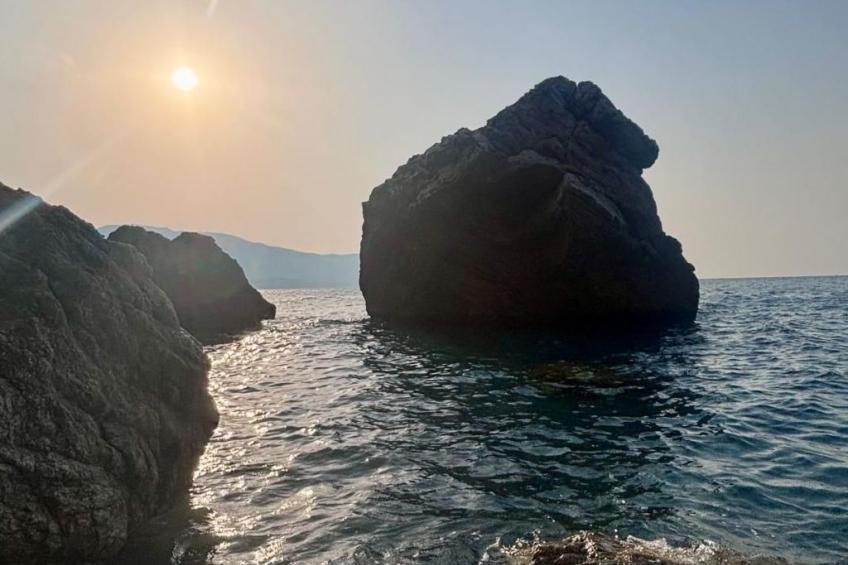 'The Garden - foto 33