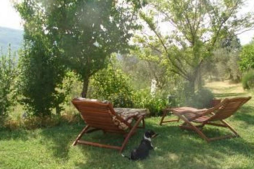 Casa Cardeta Ferienwohnung - foto 6