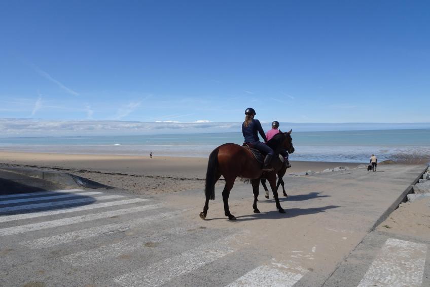Maison de Vacances XXL Gouville sur mer - foto 30